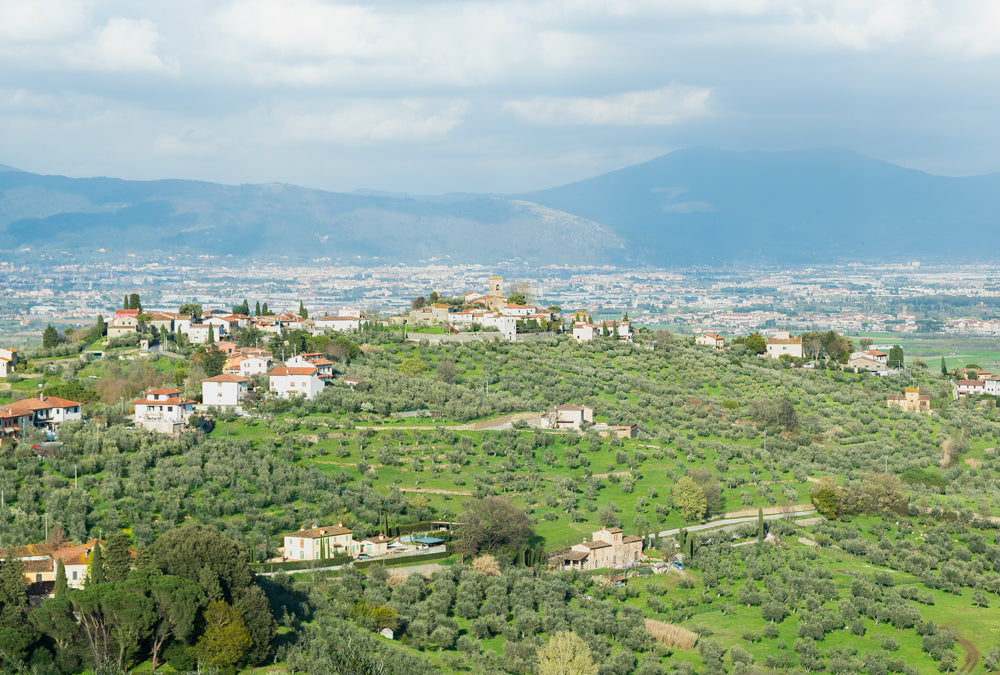 panorama della collina toscana tizzana